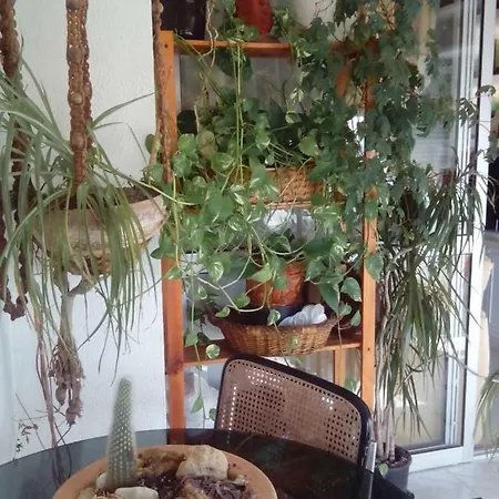 Ana De Viya Homestay *